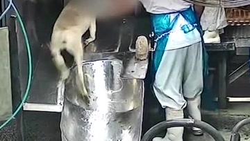 动物也有求生欲