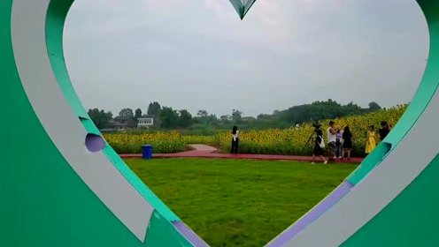 武胜梦田花海表白墙