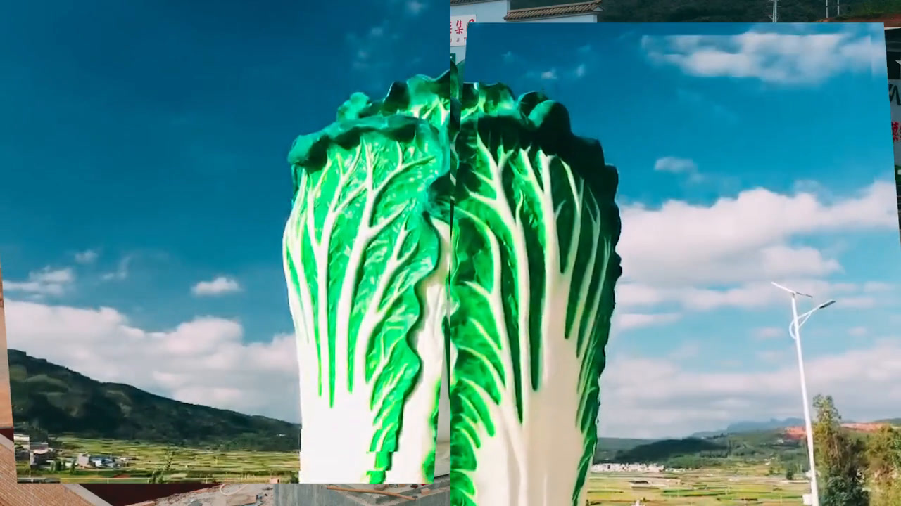 巨型"大白菜"亮相江华公路.造型逼真,高6.8米,宽3.6米