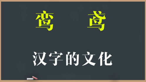 汉字解密 腾讯视频