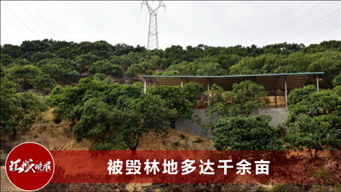 违建为何无人管 腾讯视频