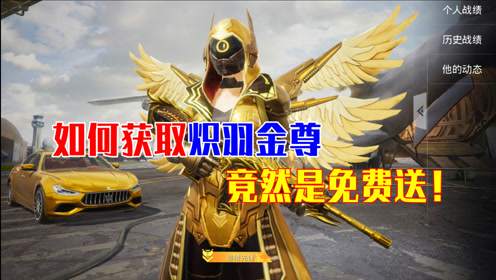 大表哥解说:怎么获得炽羽金尊套装?竟然是免费领取!