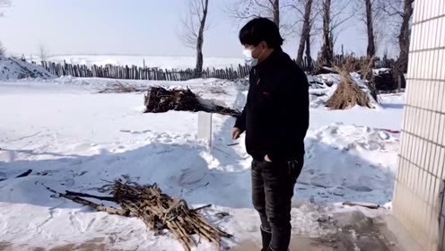 大连生活网 腾讯视频
