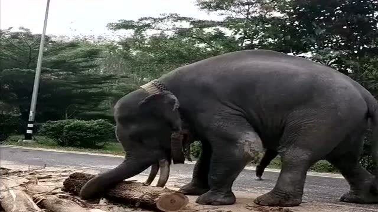 ɻ,ȴûİ˹,Կ͵Ĵе!