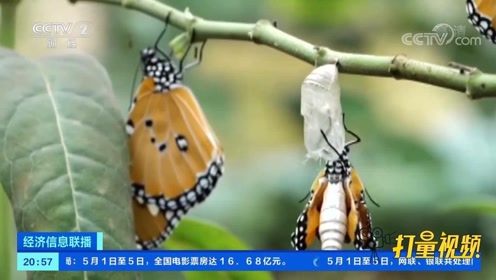 腾讯视频