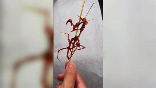 这是我接力的糖画作品"螳螂",你喜欢吗?