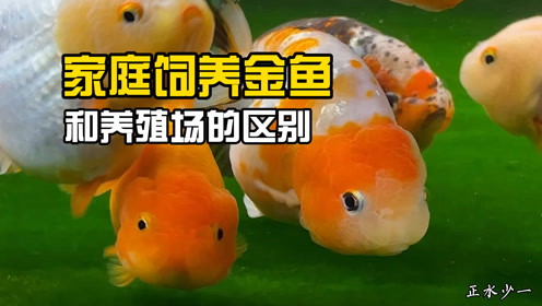 腾讯视频