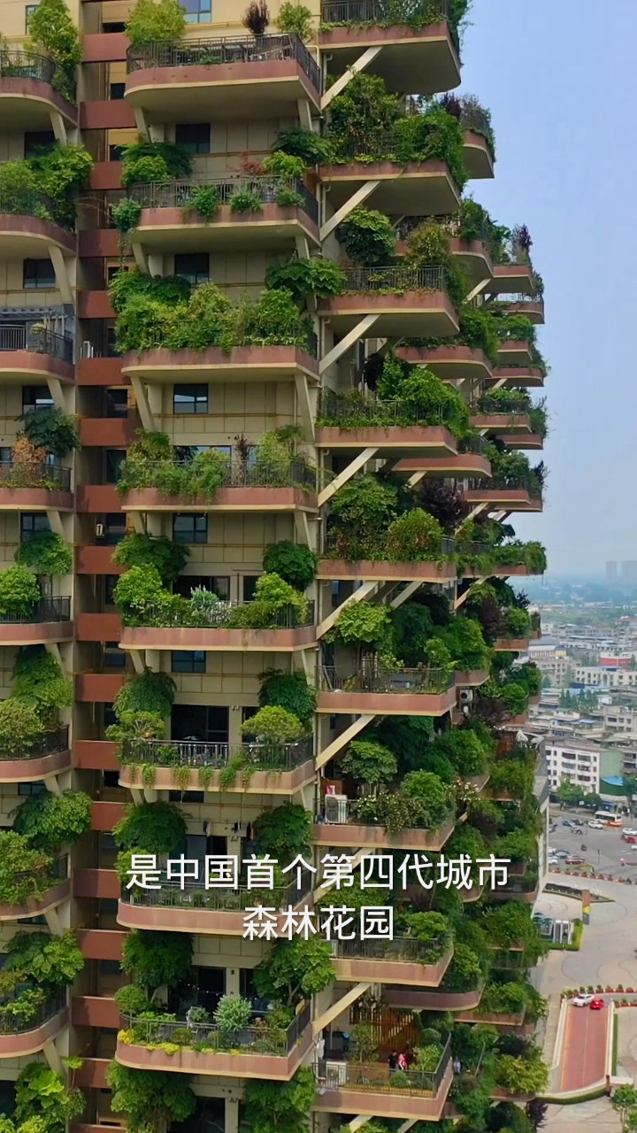 中国首个第四代住房楼,层层有街巷,户户有庭院,业主可以在家种菜吃!