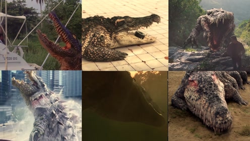 假如变异巨鳄有段位,青铜的只能咬人,王者的鳄鱼可以拆楼