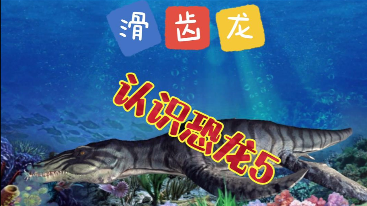 滑齿龙(上龙科滑齿龙属动物)_搜狗百科