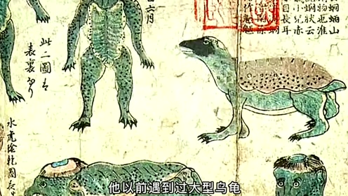 腾讯视频
