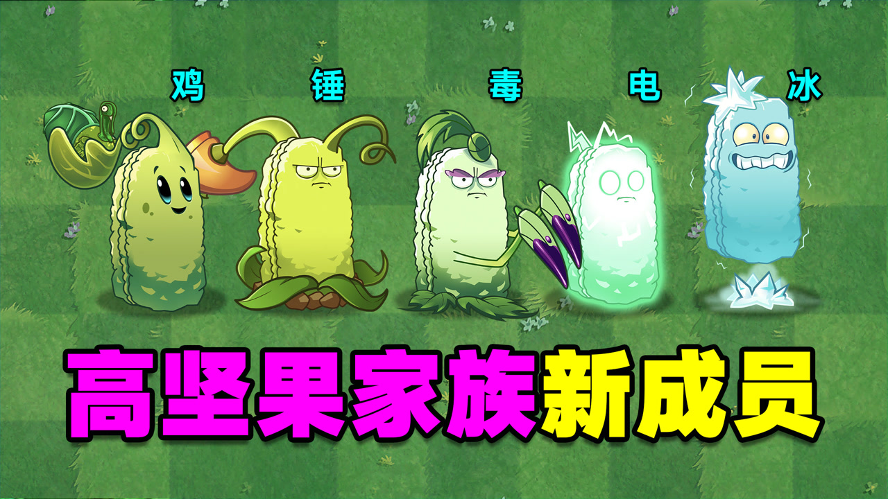 植物大战僵尸:坚果家族新成员!一个个都是人才!