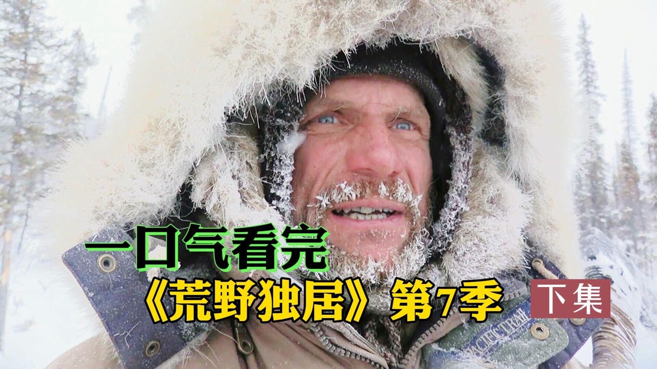 一口气看完《荒野独居》第七季,大佬在北极生存100天,斩获100万美金!