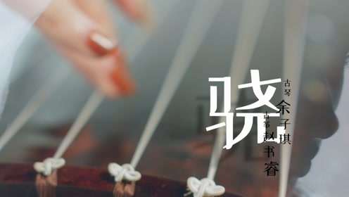 [图]琴筝合奏改编版《骁》，好看又好听，根本停不下来