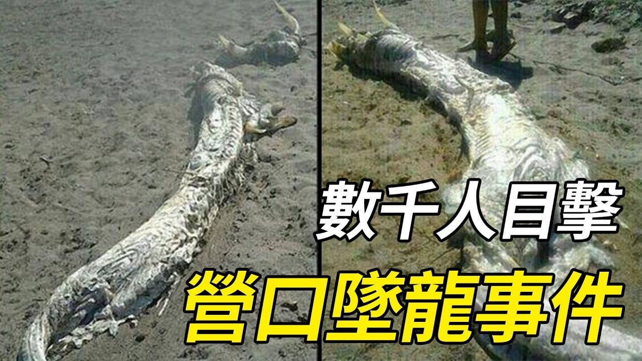 辽宁营口坠龙事件的传说,至今还无定论