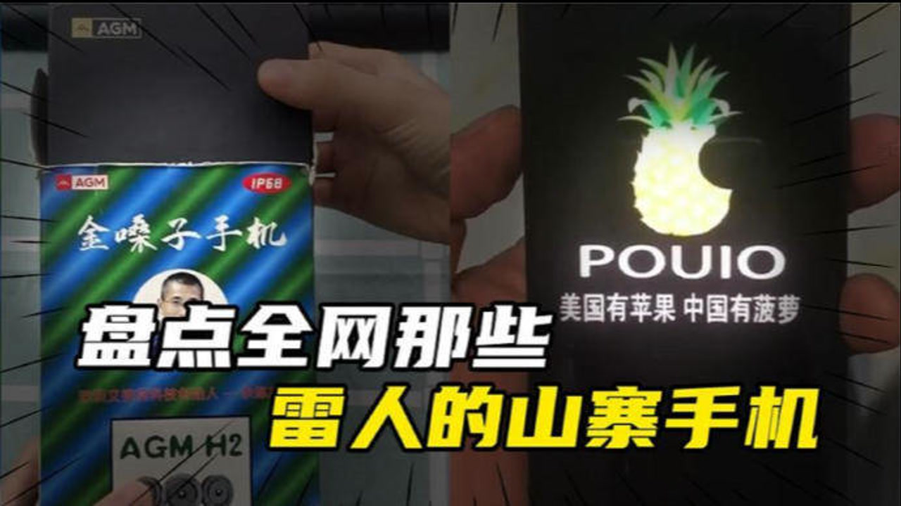 盘点那些雷人的山寨手机:美国有苹果中国有菠萝,菠萝手机