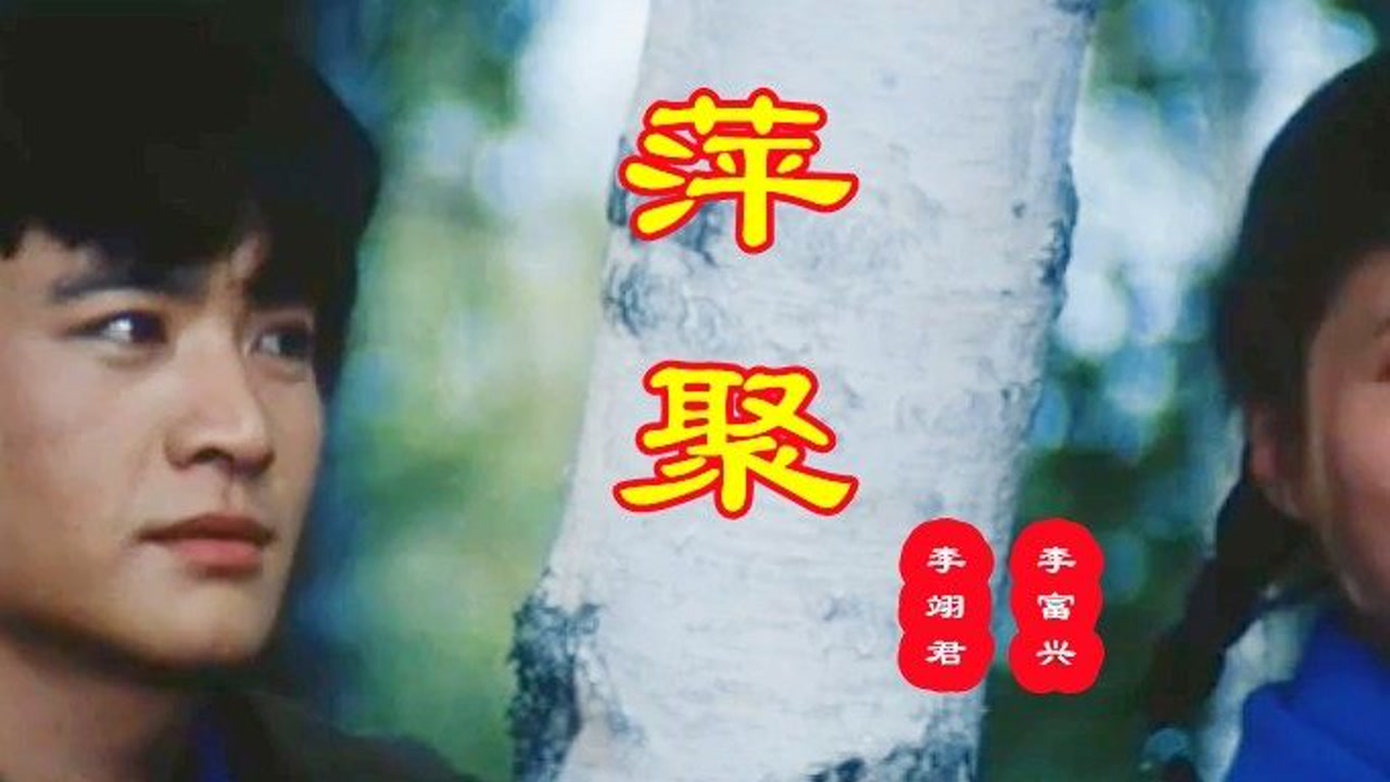 30多年前的经典老歌《萍聚》依旧好听,熟悉的旋律,唤起你的回忆#音乐