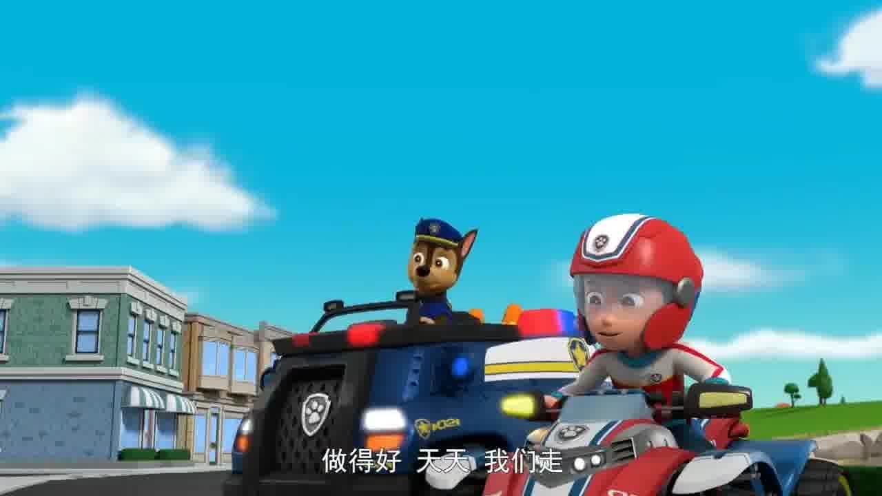 汪汪队立大功第八季:两只小鸡平衡车玩的真不错呀,汪汪队们都抓不到