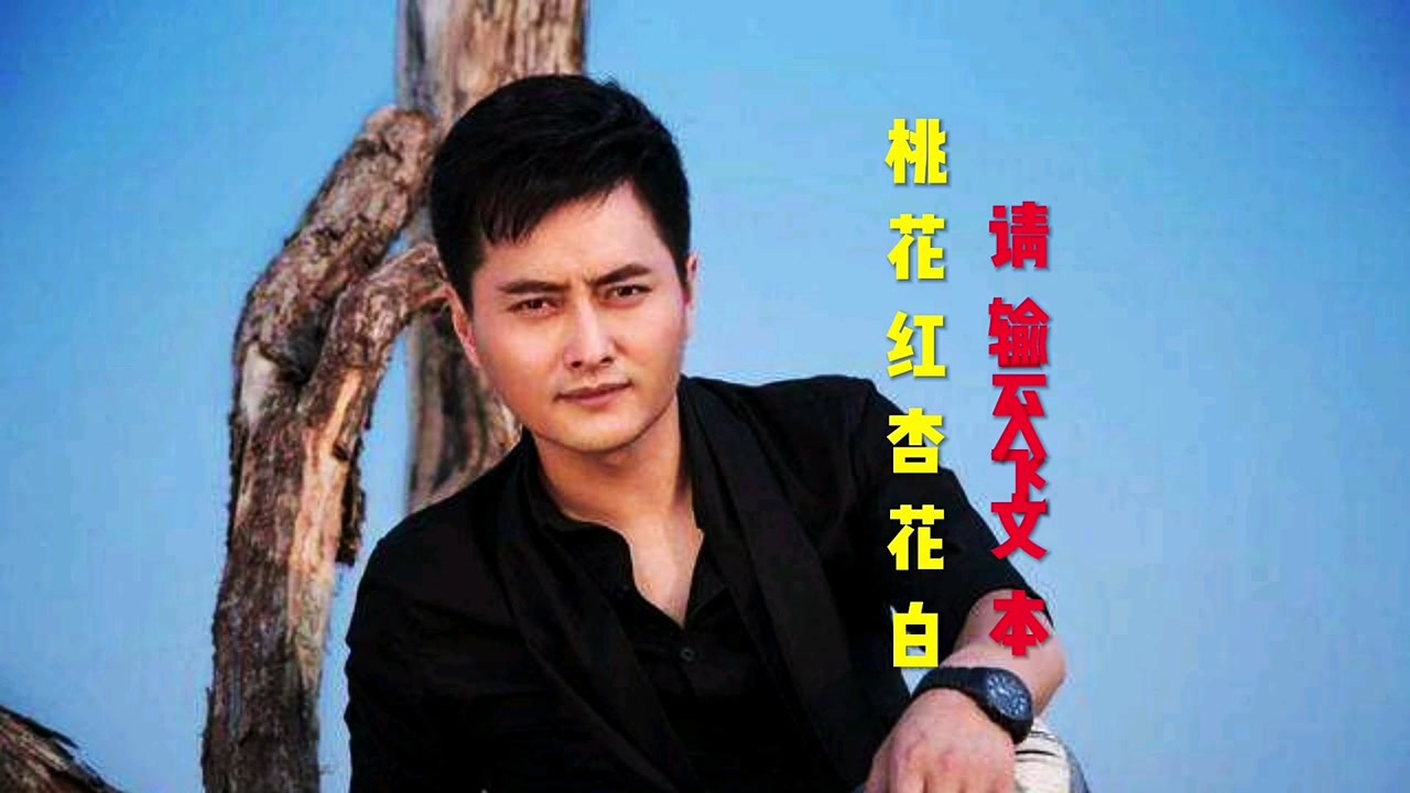 云飞演唱这首:(桃花红杏花白)深情感人至深