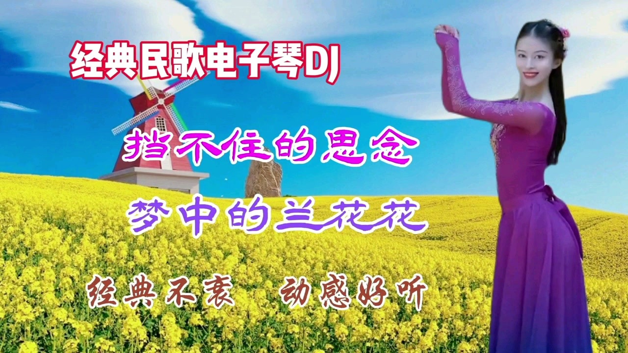 電子琴dj純音樂《擋不住的思念》《夢中的蘭花花》,動感好聽