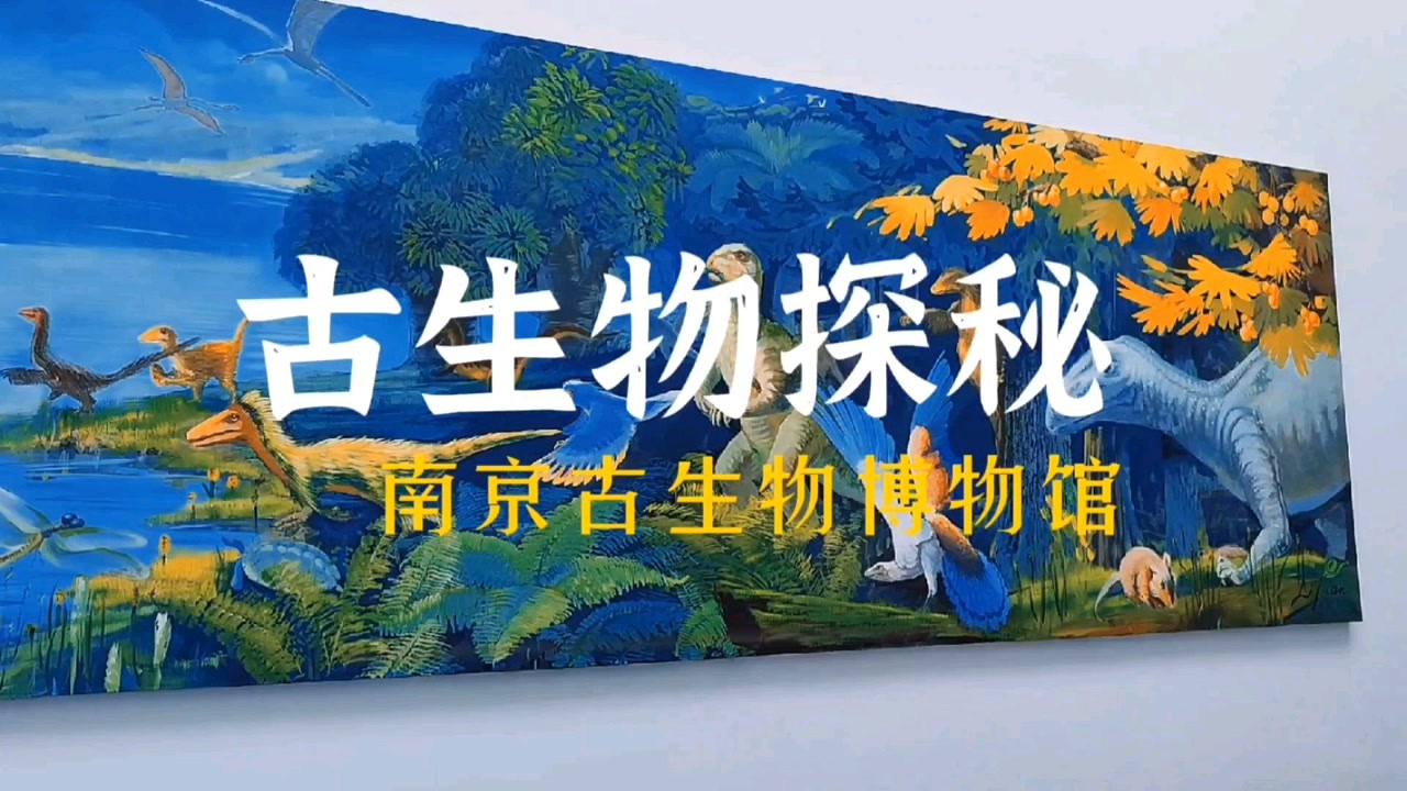 南京古生物博物馆,是世界上最大的古生物专业博物馆之一