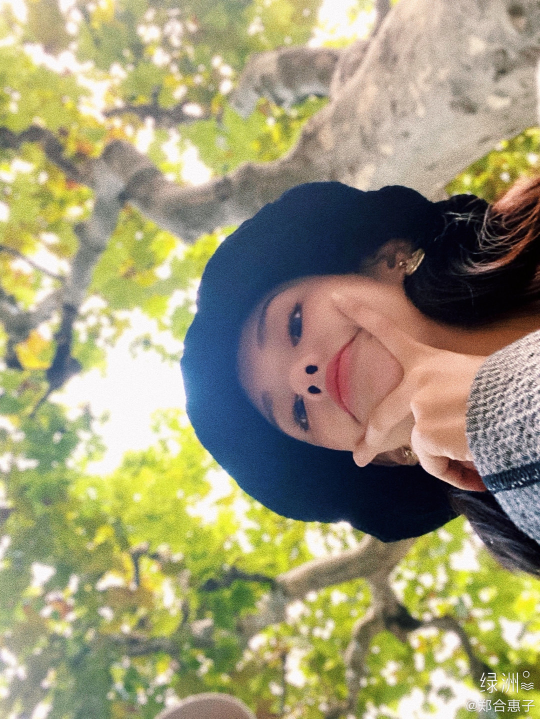 郑合惠子-doki@腾讯视频:超全的郑合惠子资讯,视频,粉丝,直播,活动