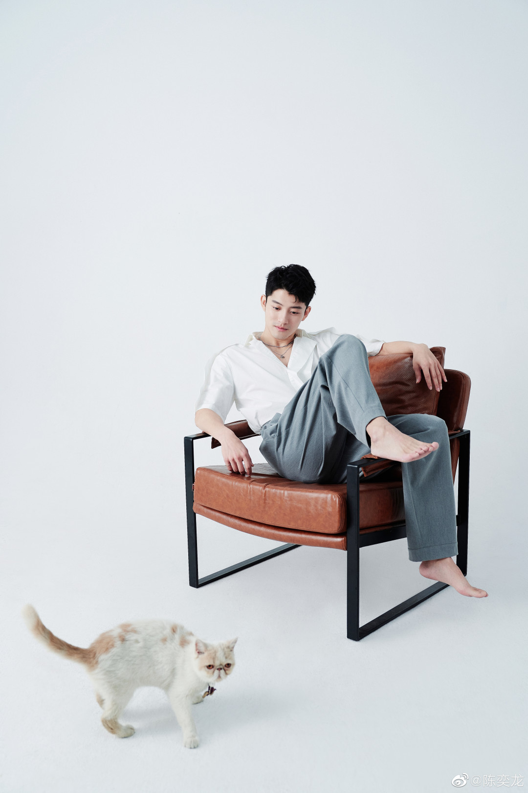 陈奕龙-doki@腾讯视频:超全的陈奕龙资讯,视频,粉丝,直播,活动集合