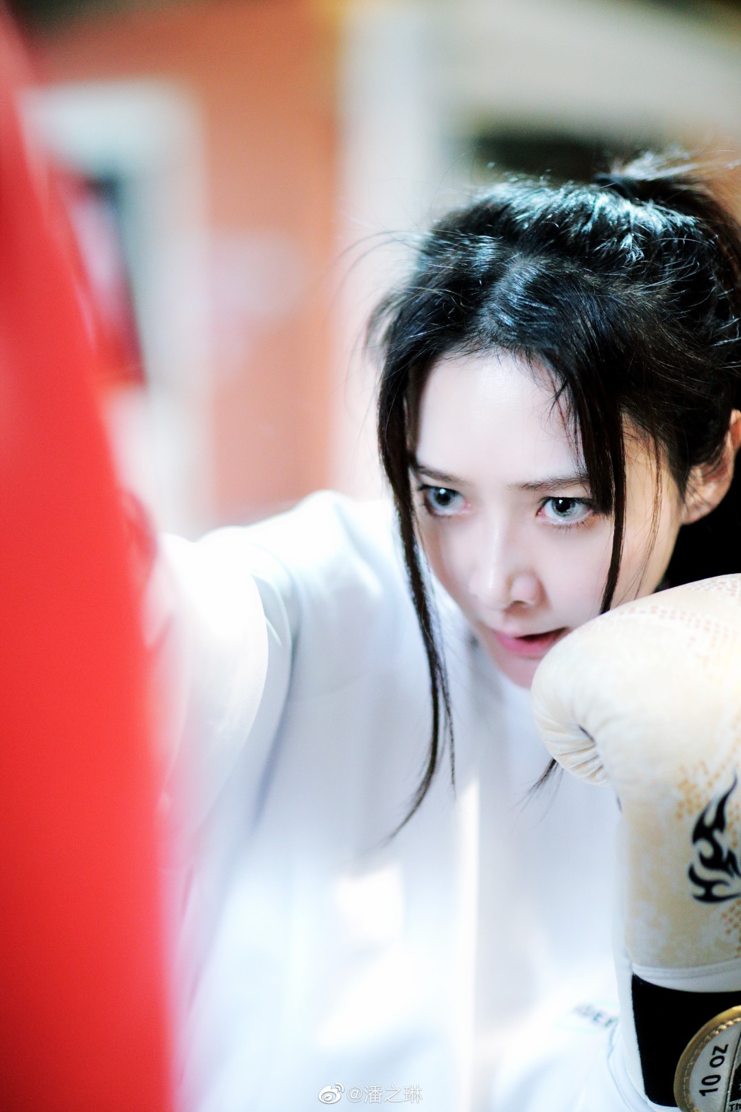 潘之琳-doki@腾讯视频:超全的潘之琳资讯,视频,粉丝,直播,活动集合