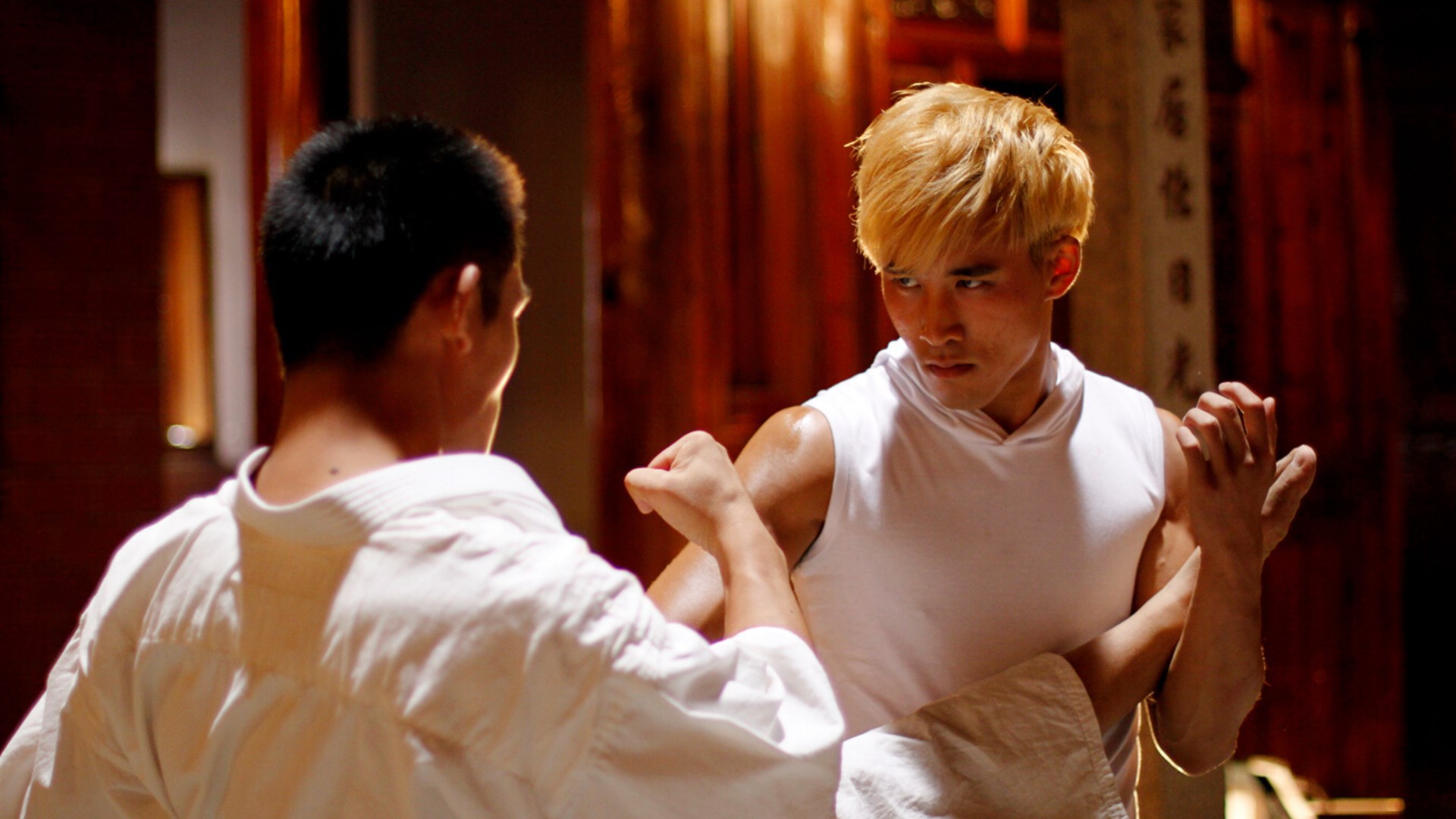 thumbplayer poster plugin image