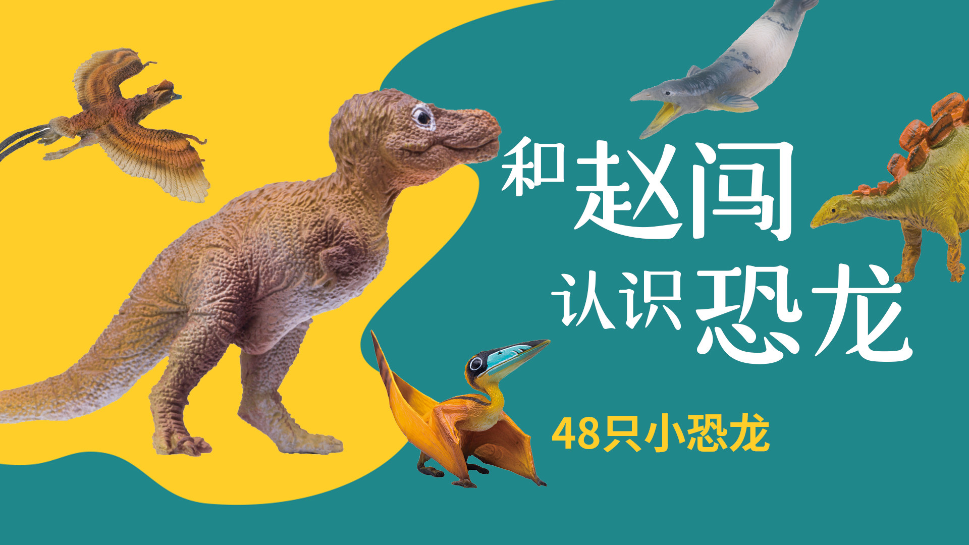 和赵闯认识恐龙-48只小恐龙_第40集寐龙毛毛_少儿_动画片大全_腾讯视频