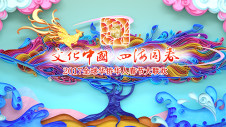 2017全球华侨华人春节大联欢