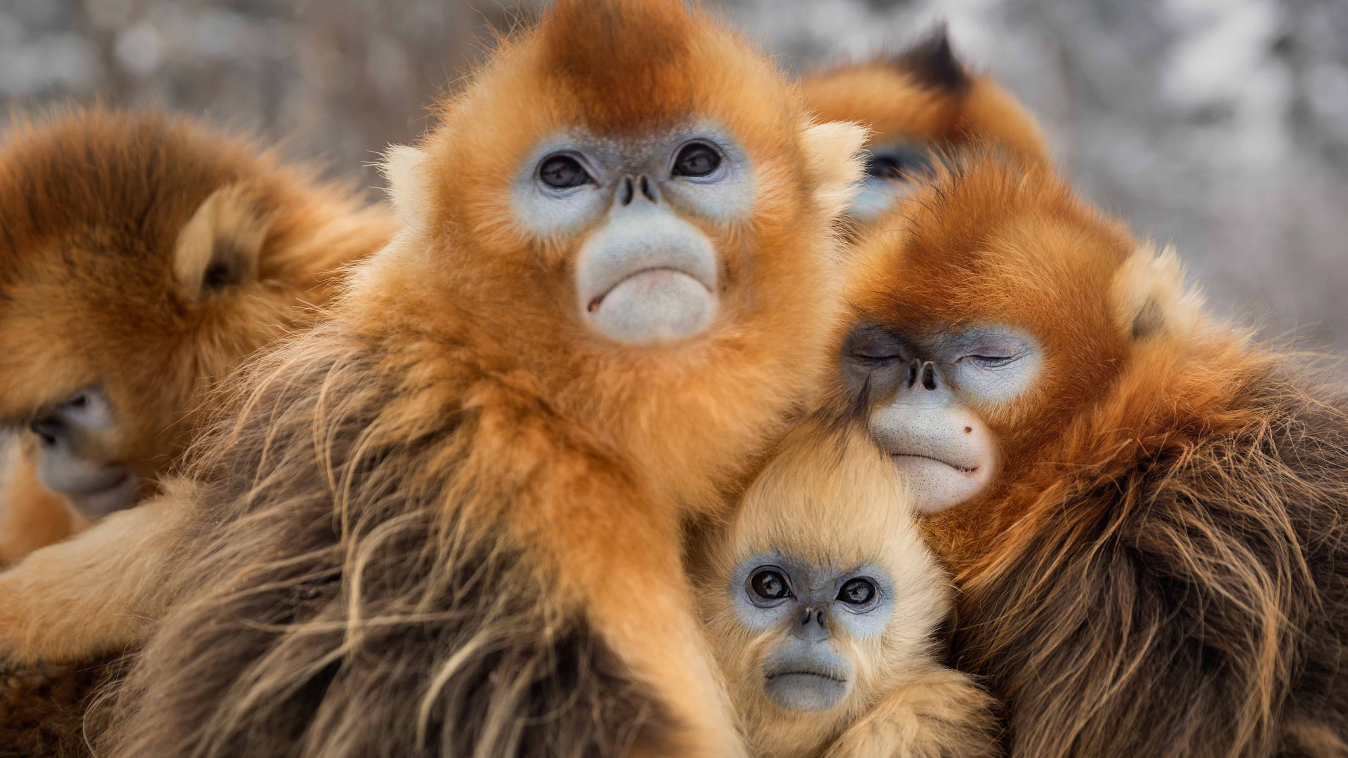 我们诞生在中国