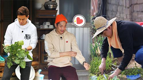 《三时三餐 渔村篇 第3季》第9期:三餐家族腌泡菜总动员_综艺_高清