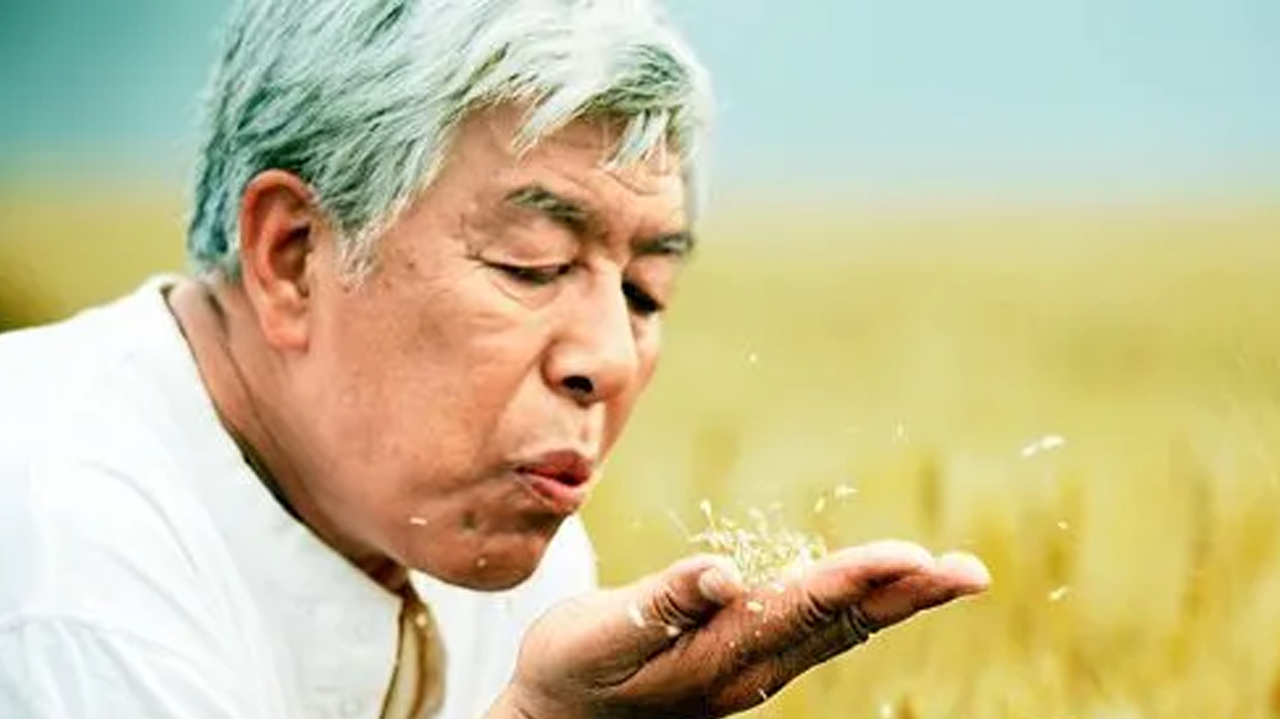 我的土地我的家