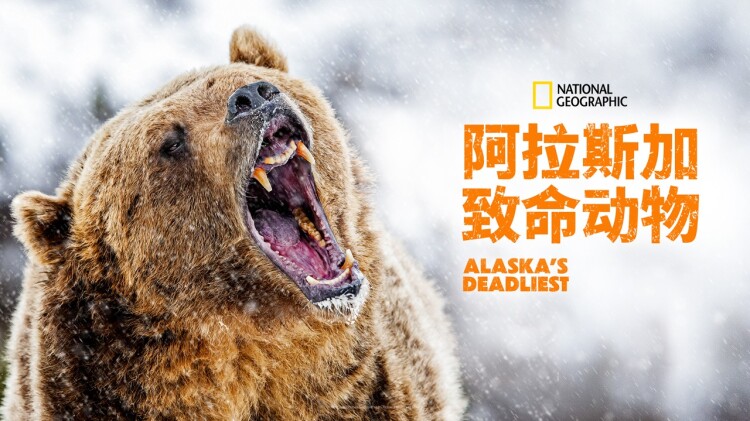 我高考落榜后去修仙