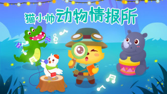 猫小帅动物情报所