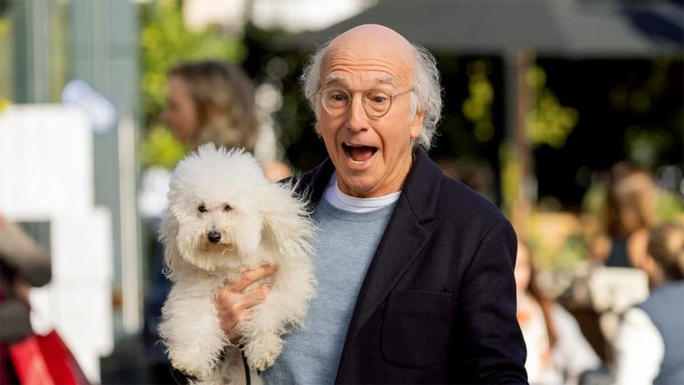 如意芳华——美好愿景的绽放