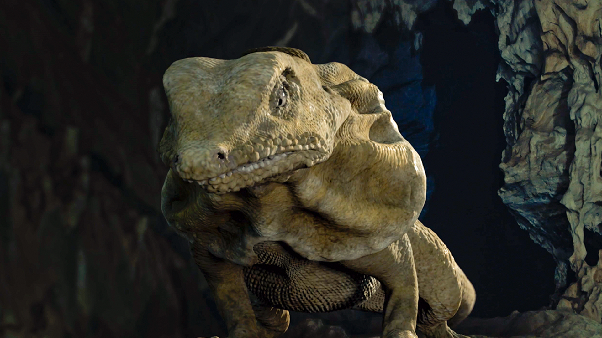 一条千年巨蛇,喝一口它的血,不仅美容养颜还能长生不老!