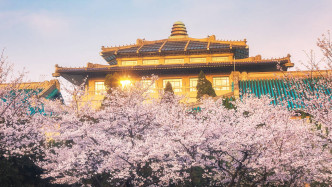 鹅宅好时光·云赏花