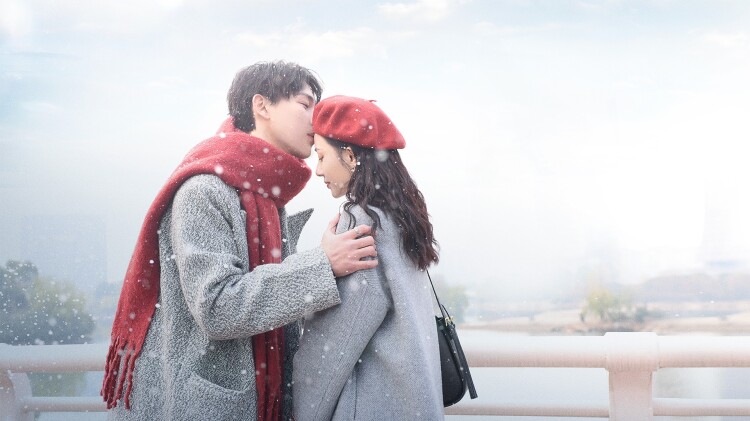 钉刺者们警视厅诱饵搜查检证室的案件开端