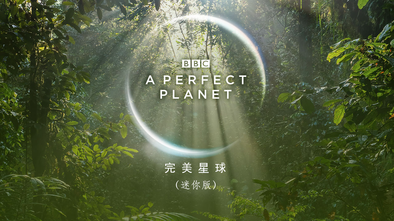 完美星球（迷你版）封面