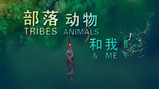 部落 动物和我 第二季封面