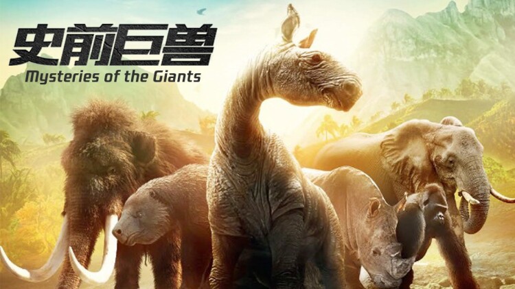 上相亲节目后陆总天天都在掉马甲：真情显露