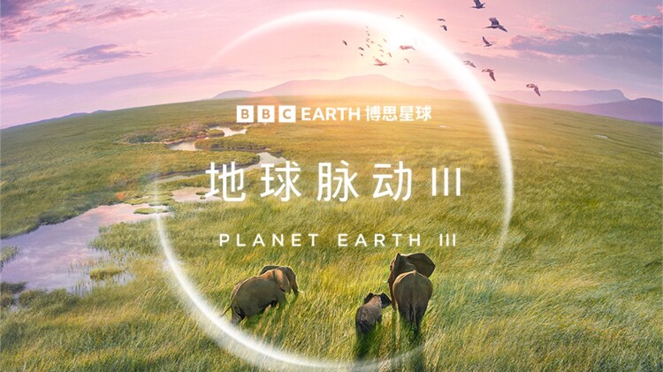 石榴熟了之一拍到底