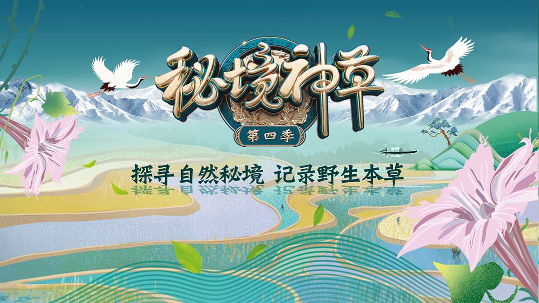 秘境神草 第4季-封面1
