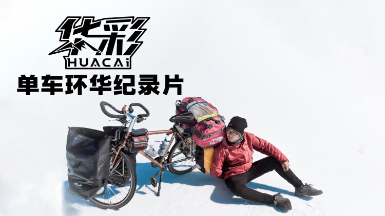 我真的只是个兽医的日常开始