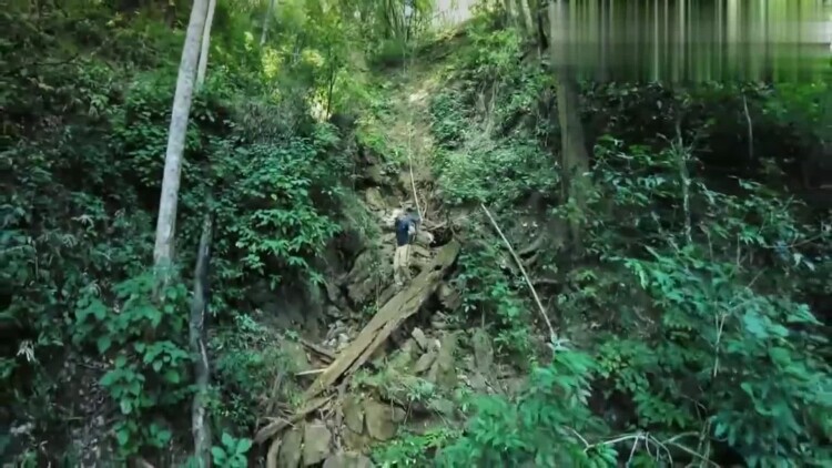 缠她上瘾陆总的娇气包