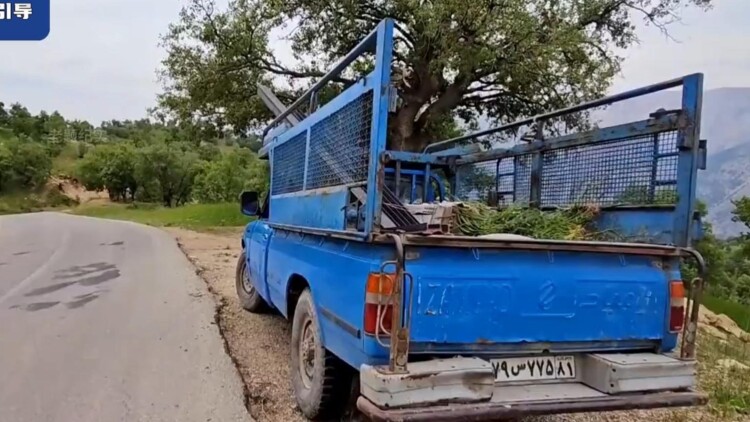 如果今生也能坠入爱河