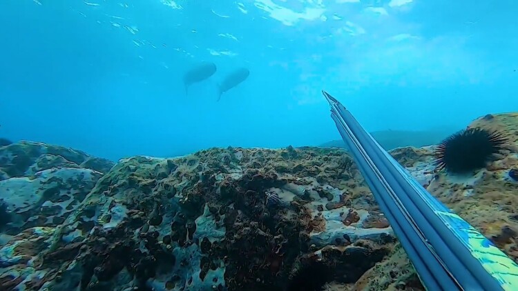 被渣后我承包了千亿总裁