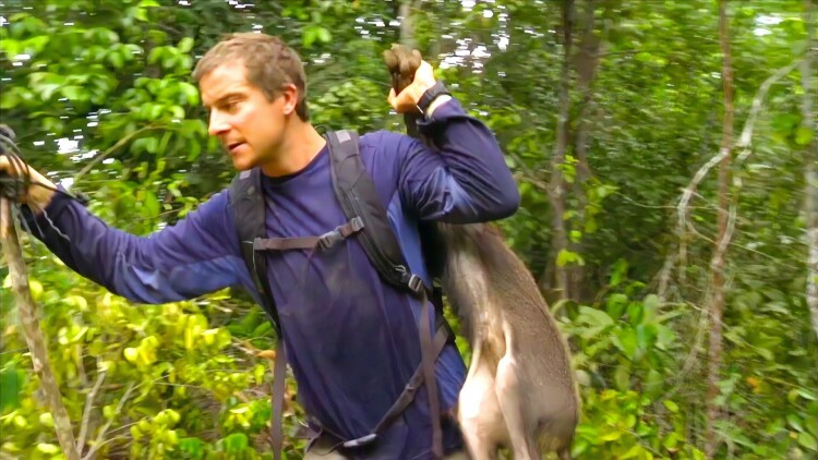 团宠小锦鲤三岁半